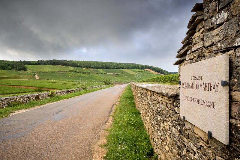 BURGUNDY - CORTON: sceniczna droga która krzyżuje wino region blisko Corton Francja obrazy stock BURGUNDY - CORTON: sceniczna droga która krzyżuje wino region blisko Corton Francja obrazy stock