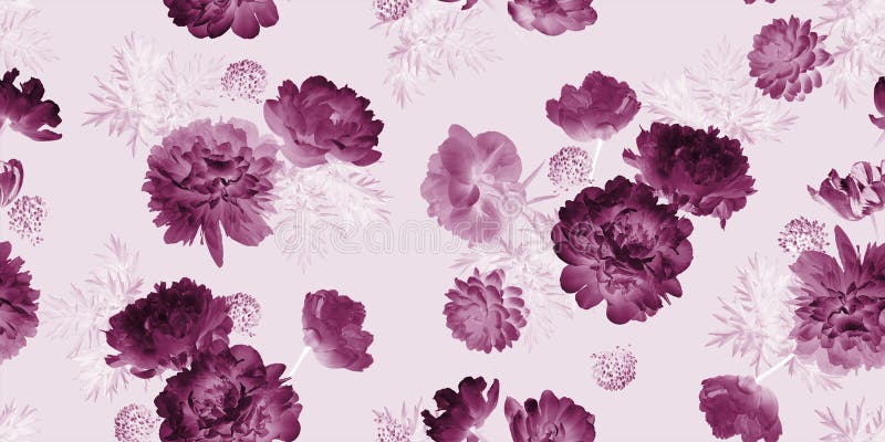 Burgundy flowers peonies and leaves on a pink background. Floral summer seamless pattern