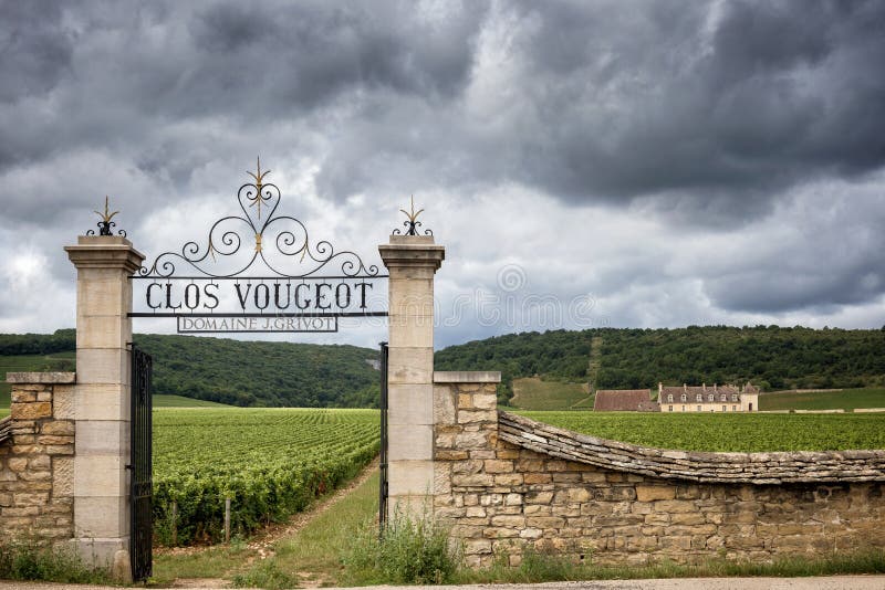 Burgundy, Górska chata Du Clos de Vougeot i winnicy, Francja obrazy royalty free Burgundy, Górska chata Du Clos de Vougeot i winnicy, Francja obrazy royalty free