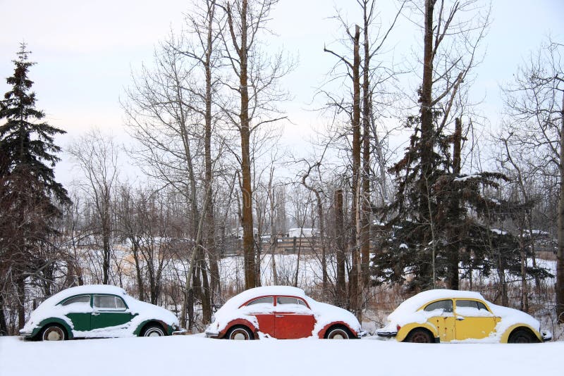 Una fila di abbandonato le vecchie auto sepolto nella neve fresca neve.