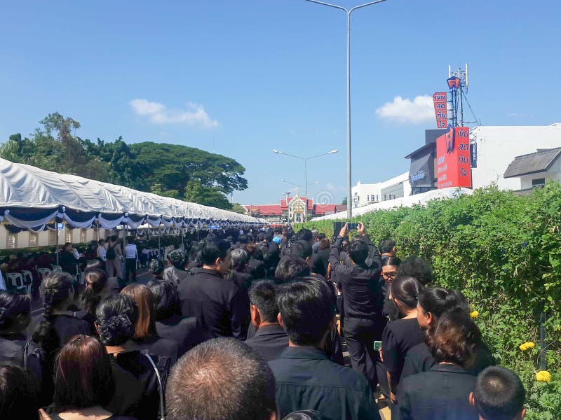 Buriram, TAILANDIA - 26 de octubre de 2017: Flores de la endecha de los deudos como a fotografía de archivo