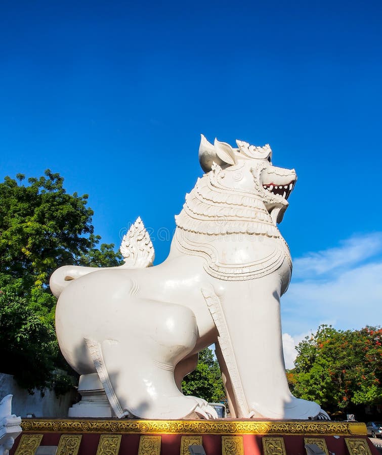 Burmese Burl-wood Carving of Attacking Lion