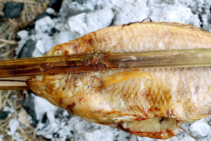 Grill Fish Burn stock photo. Image of health, salt, dinner 52613358