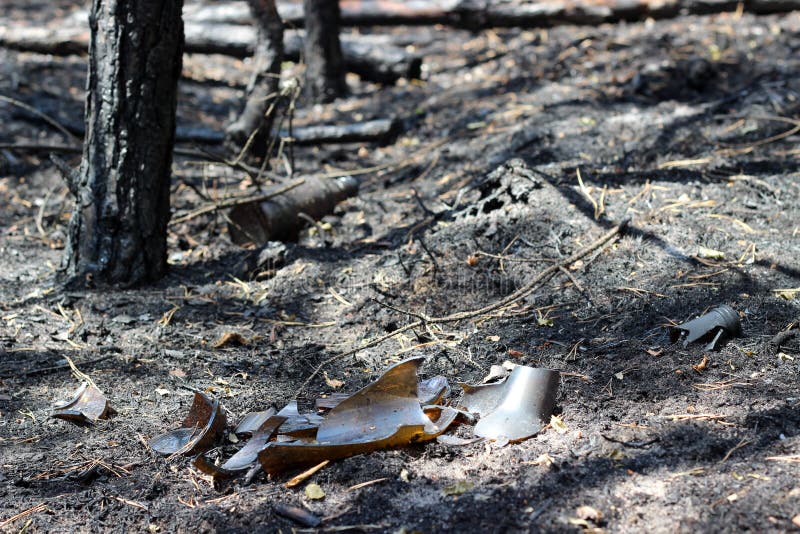 Burned broken bottle stock image. Image of forrest, pieces 117828181