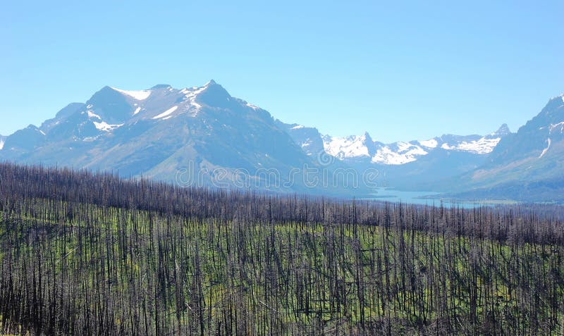 Burned forests and snow mountains