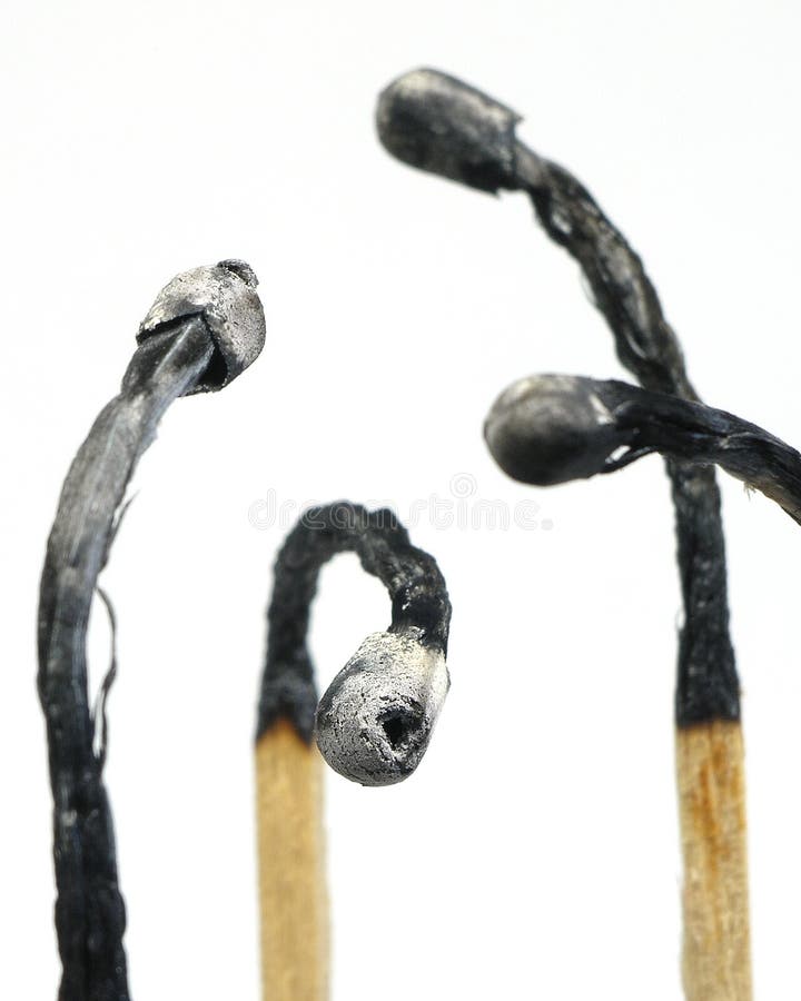 Burned Match Sticks