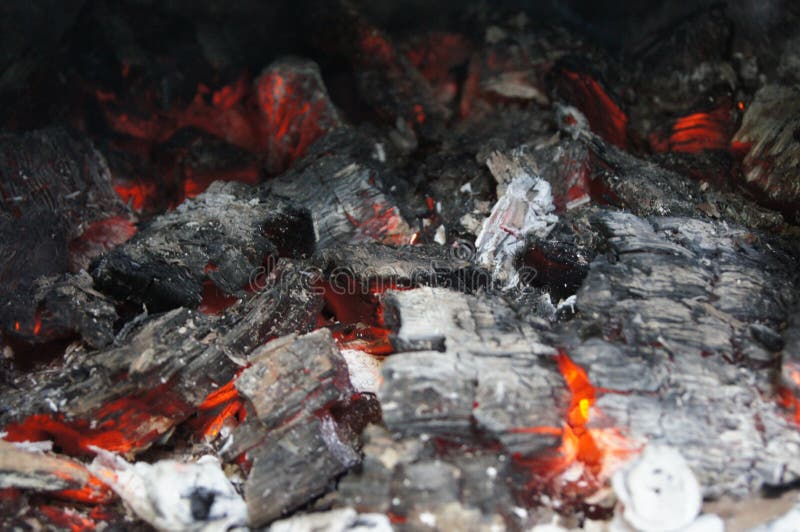 Burned, Woods, Fire, Food, Smoke Stock Photo Image of woods, burned