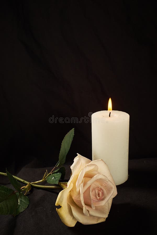 Burning Candle and a Beautiful Rose on a Black Background Stock Image