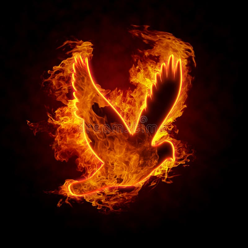 Burning Bird stock photo. Image of fire, abstract, glow - 18153832