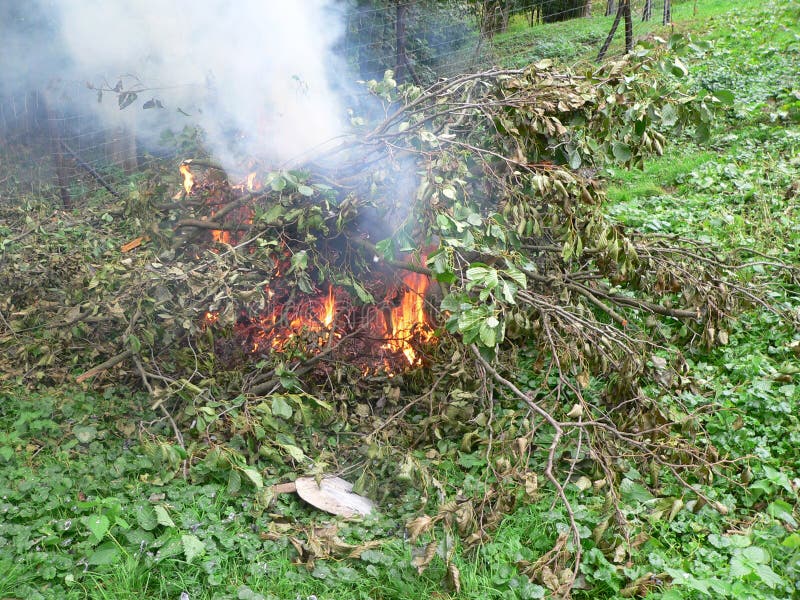 Burning branches stock image. Image of natural, earth 59687887
