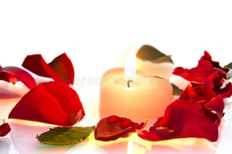 Burning Candle in Rose Petals Stock Image Image of beauty, celebrate
