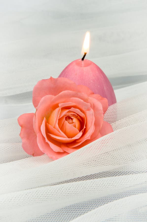 Candle and rose stock image. Image of fire, candlelight 55693161