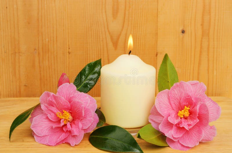 Burning Candle and Two Camellia Flowers Stock Image Image of candle, burning 13148521
