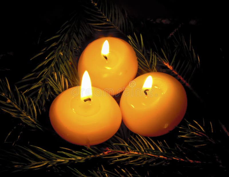 Burning Candles on Fir Tree Branches Stock Image Image of evening