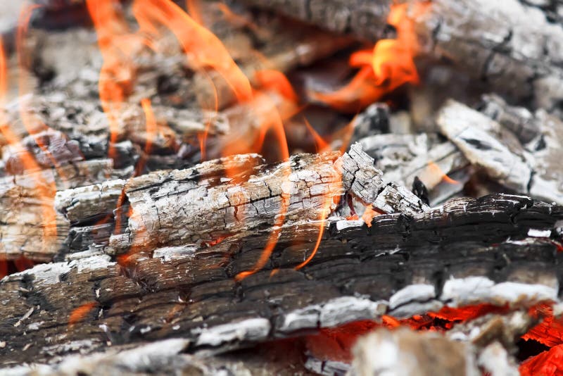 Burning coals with a white ash and red flames stock photography Burning coals with a white ash and red flames stock photography