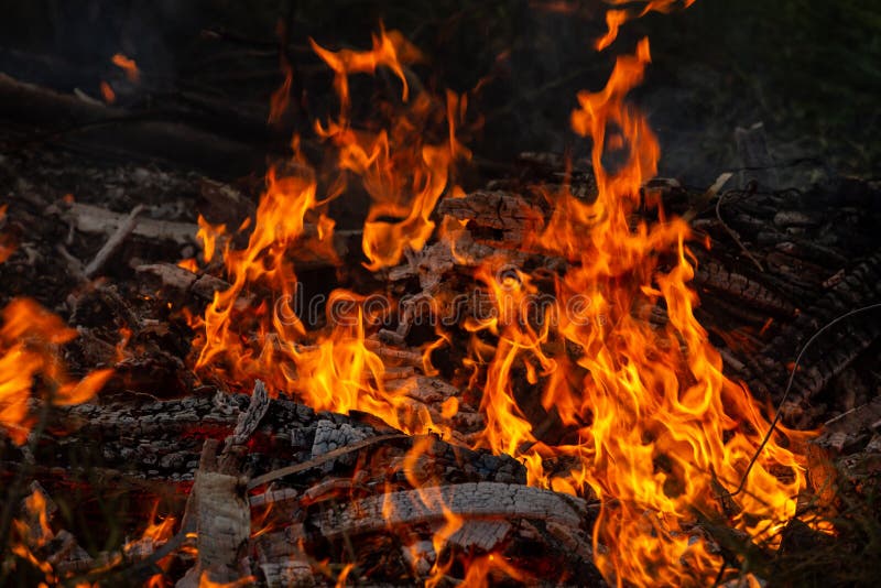 Burning Down Fire. Last Embers and Ashes Stock Photo Image of element