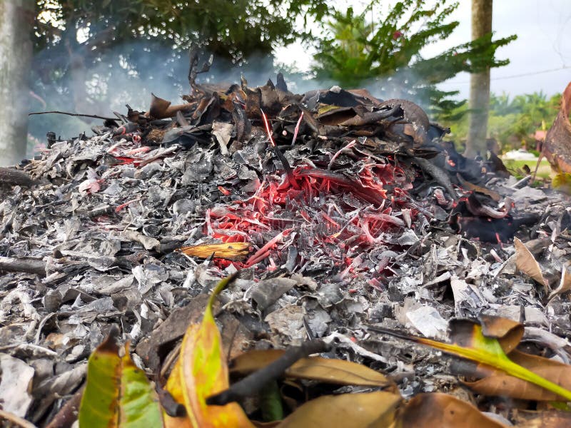 Burning Dry Leaves in the Morning Stock Photo Image of garbage