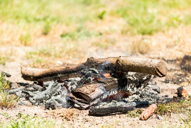 Burning Fire from Wood on the Ground Stock Image - Image of flame ...