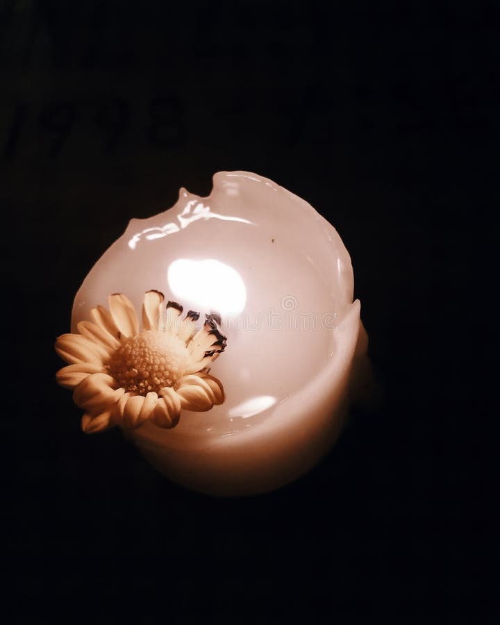 Burning Ashes stock image. Image of broken, closeup, embers 33481189