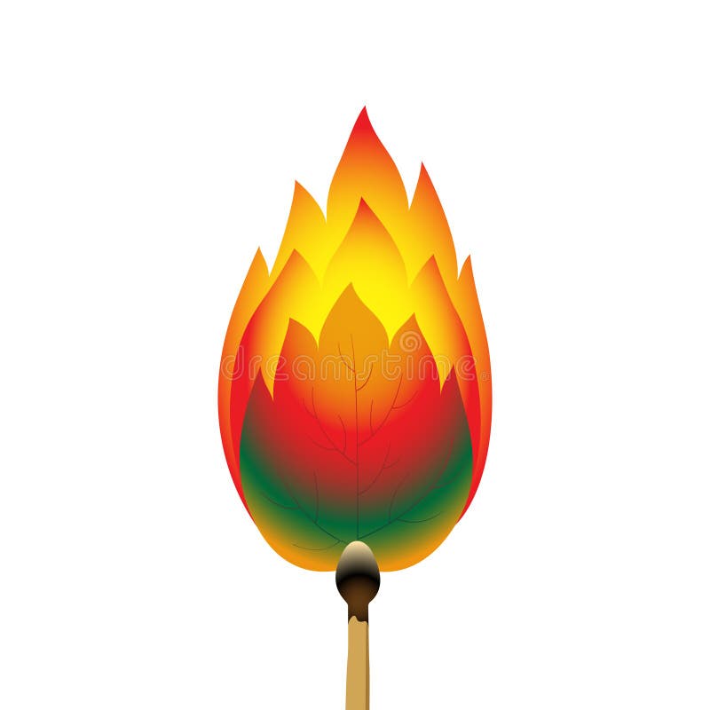 A green leaf of a tree burning from a match. The concept of protecting nature from fire and fires. Color vector illustration. stock illustration
