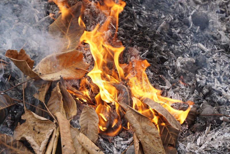 Burning leafs in autumn stock photo. Image of bonfire 131289618
