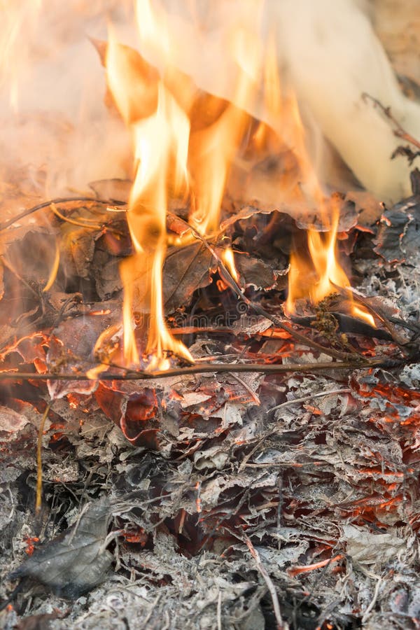 Nature Smoke From The Fire Photo Stock Image - Image of background ...