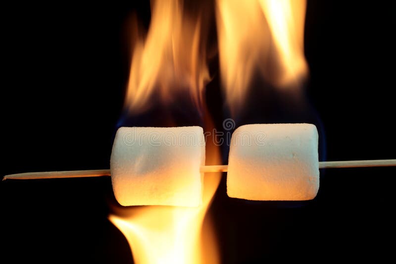 266 Burning Marshmallow Stick Stock Photos Free & RoyaltyFree Stock