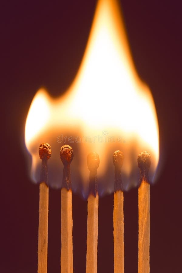 Burning Match stock image. Image of sequence, image, isolated 21367813
