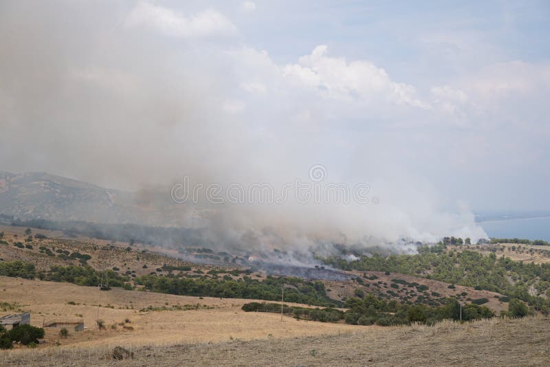 Wildland Fire On The Mountains Stock Photo Image Of Natural Fire