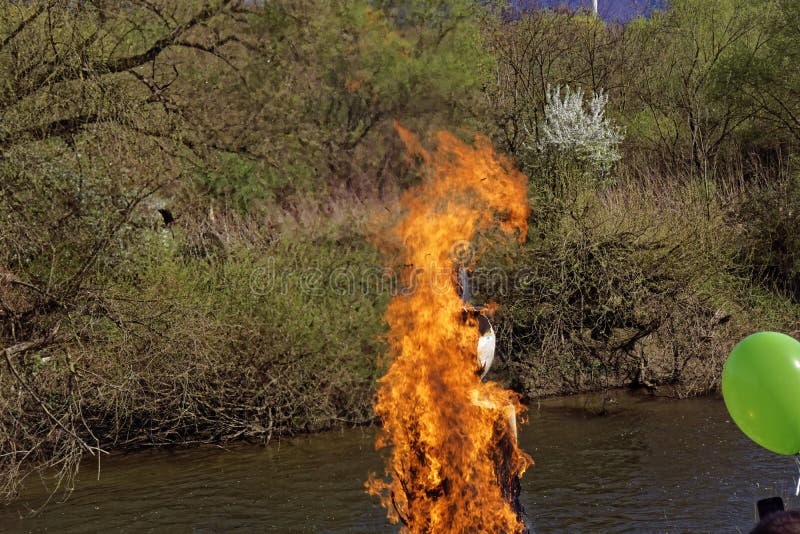 Burning Snowman Figure German Tradition Stock Photos Free & Royalty