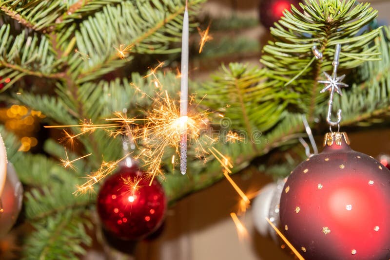 Burning Sparkle Lights on a Christmas Tree Stock Image Image of
