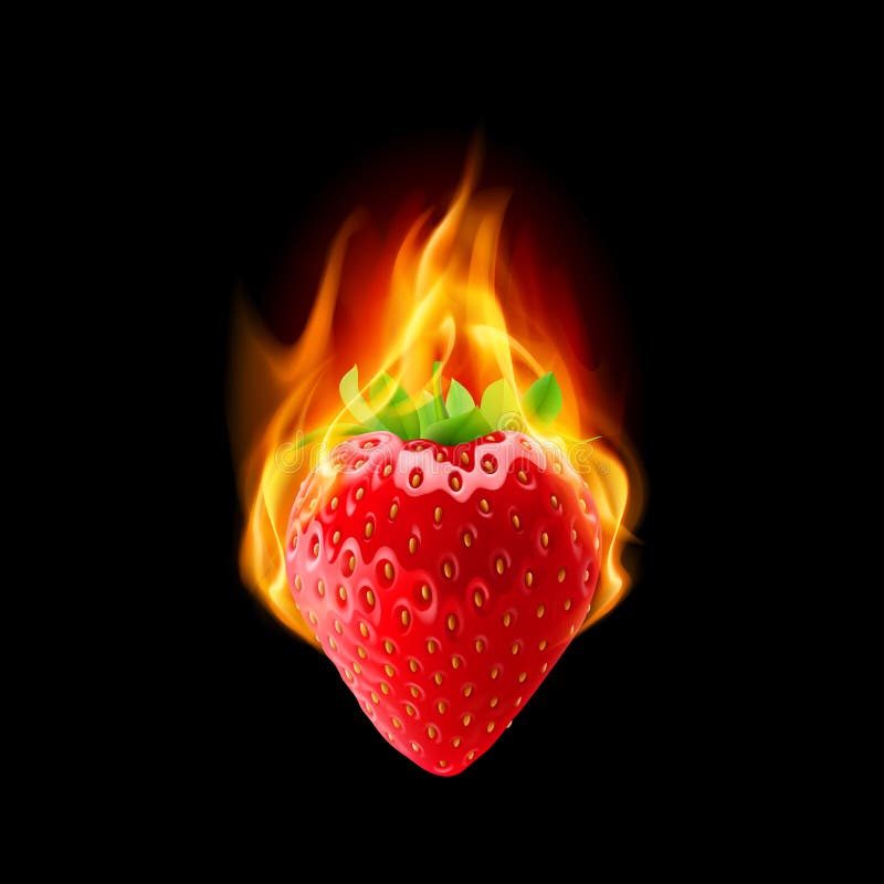 Burning strawberry stock vector. Image of fruit, closeup 59754886
