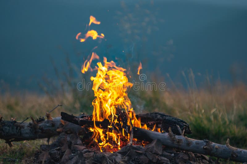 Burning Tree Closeup on a Mountain Meadow Stock Image Image of