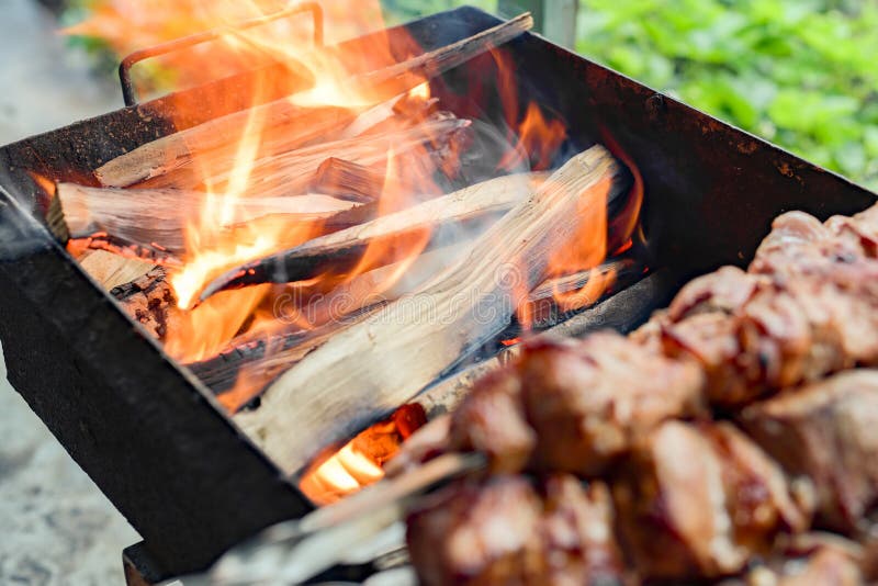 Burning Wood in the Barbecue Grill Stock Image Image of fiery
