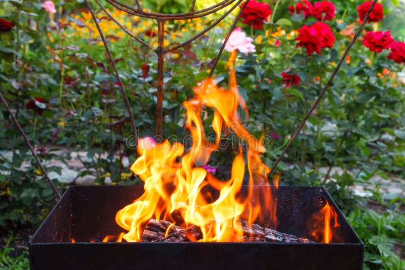 Burning wood in a brazier. Fire, flames. Grill or barbecue