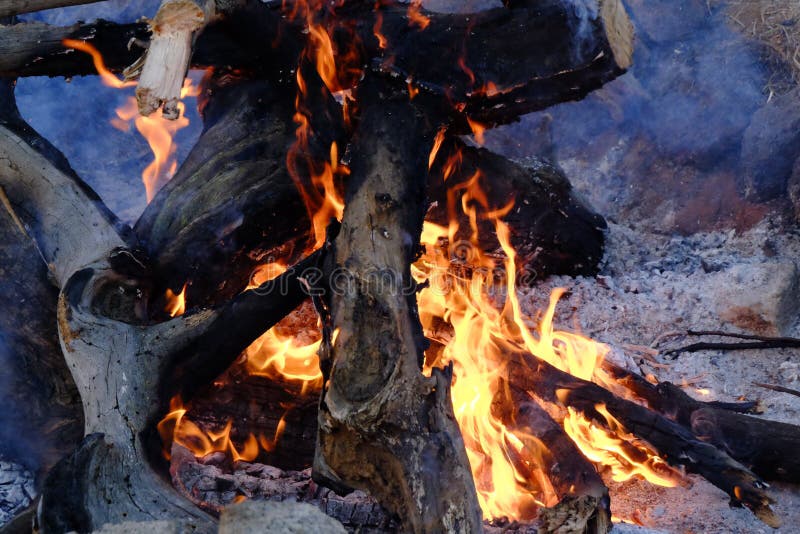 Burning Wood in a Camp Fire Stock Photo Image of embers, burning