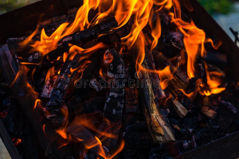 Burning wood chips to form coal. Barbecue preparation, fire before cooking