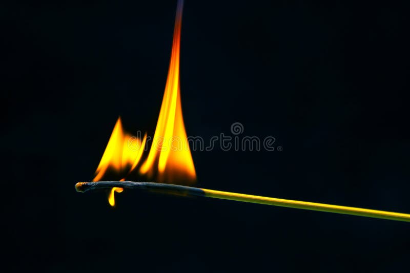 Burning Wood Match on a Dark Background Closeup. Burning Tree Fire