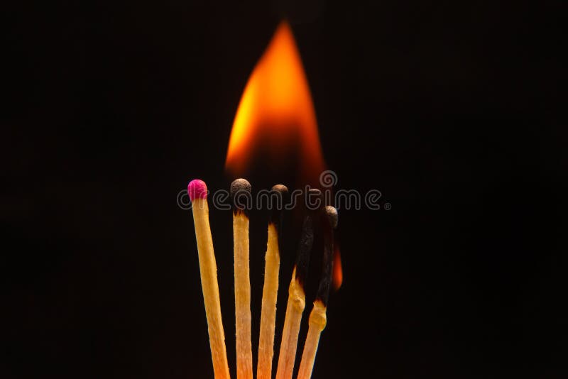 Burning Wood Match on a Dark Background Closeup. Burning Tree Fire