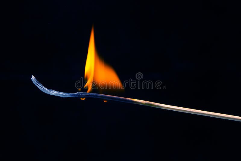 Burning Wood Match on a Dark Background Closeup. Burning Tree Fire