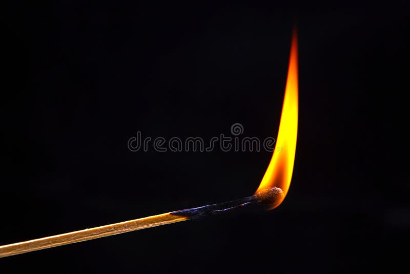 Burning Wood Match on a Dark Background Closeup. Burning Tree Fire