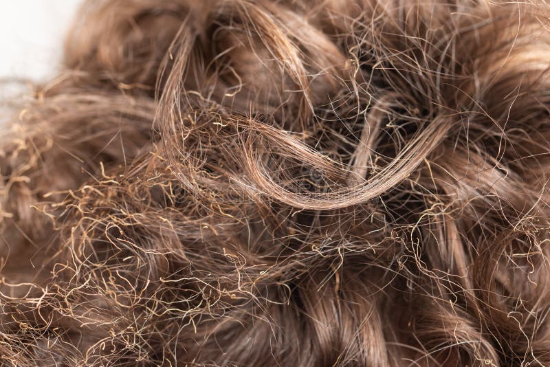 214 Man Burnt Hair Stock Photos - Free & Royalty-Free Stock Photos from Dreamstime 214 Man Burnt Hair Stock Photos - Free & Royalty-Free Stock Photos from Dreamstime