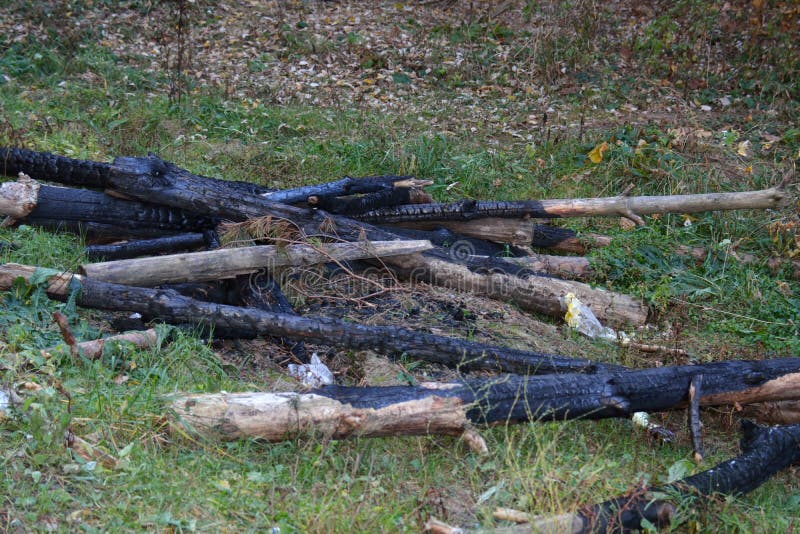 Burnt logs outdoors stock photo. Image of architecture 120722778
