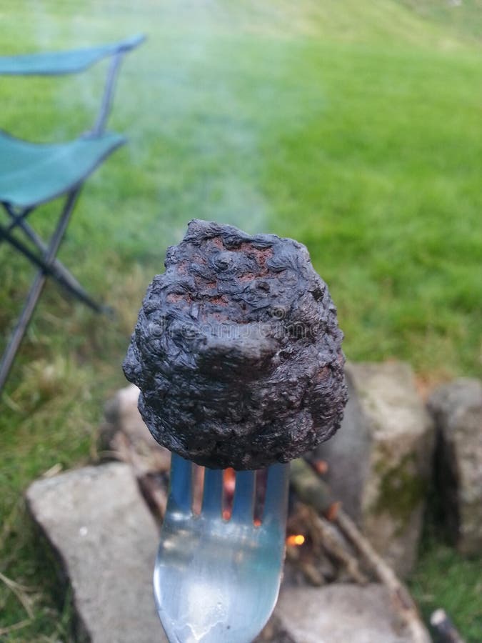 Burnt Marshmallow stock photo. Image of stick, marshmallow 51453556