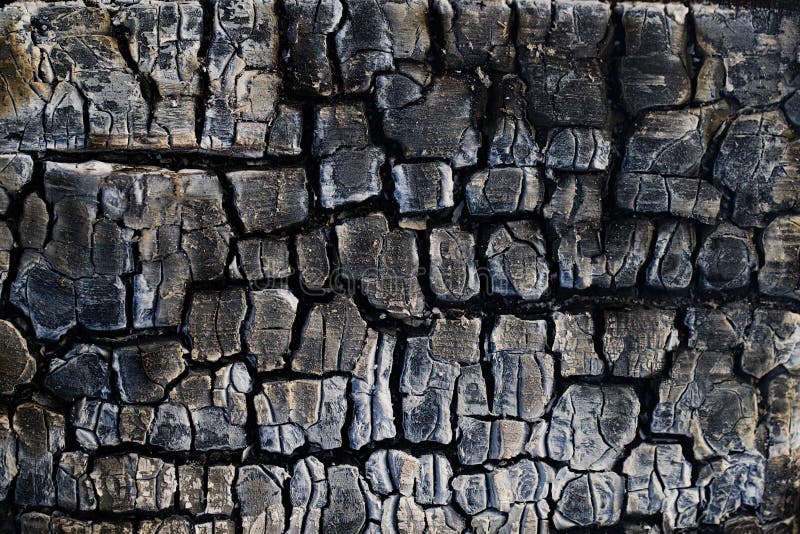 Burnt Oak Wood Texture. Burnt Wood, Charcoal. Stock Photo Image of