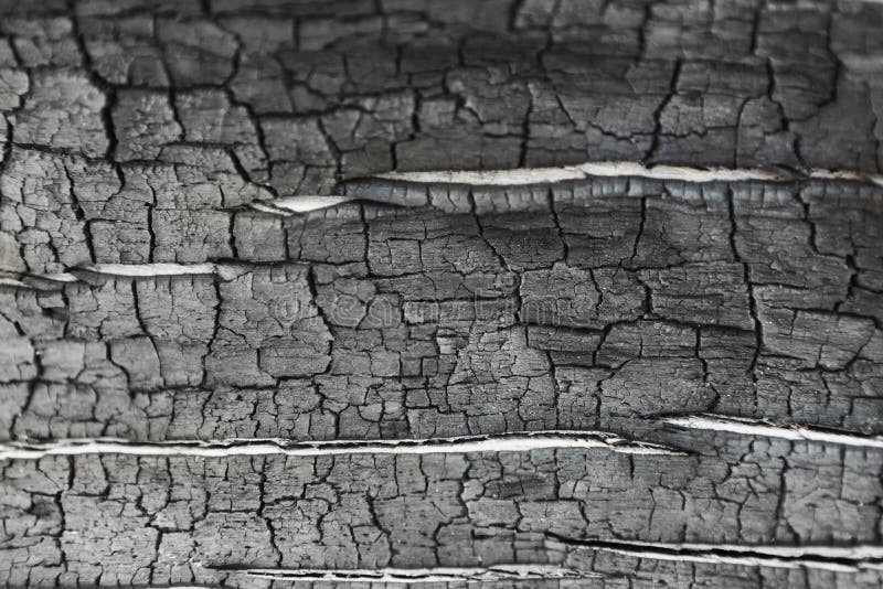 Burnt wood grey background