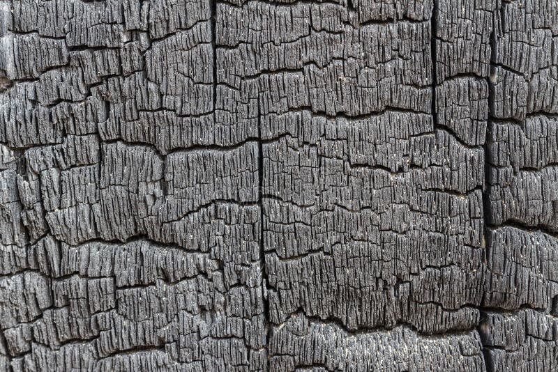 Burnt Wood stock image. Image of carpentry, design, gray 40077113