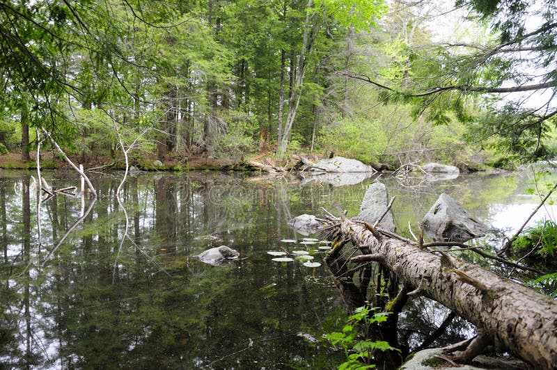 Burr Pond State Park Torrington le Connecticut image libre de droits Burr Pond State Park Torrington le Connecticut image libre de droits