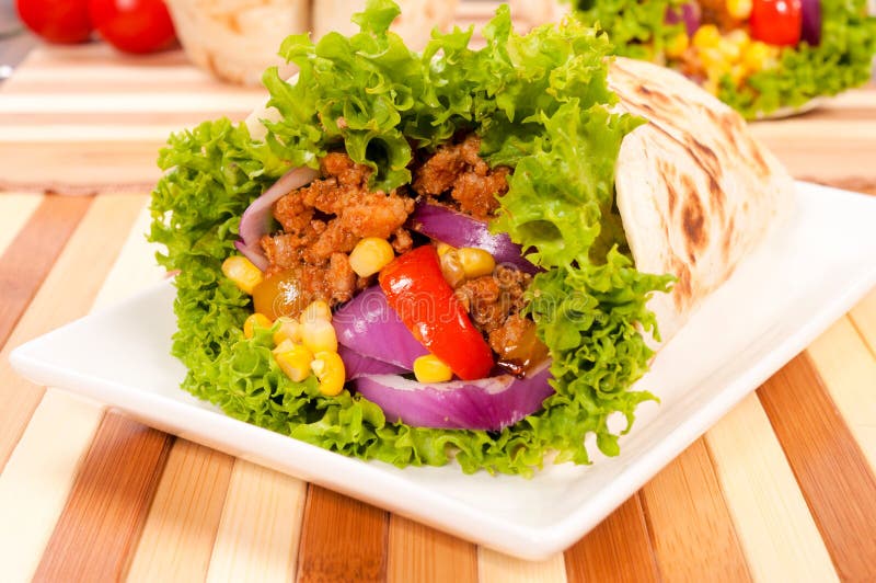 Burrito on plate stock image. Image of lunch, gyros, meal 29194299