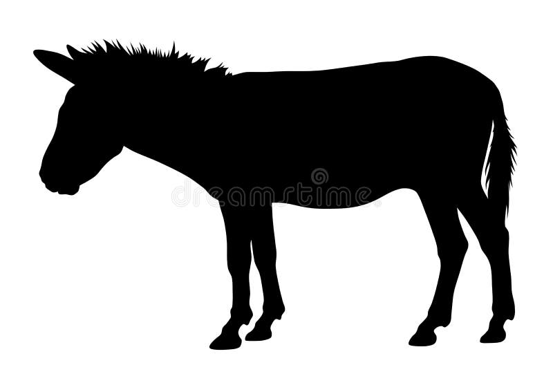 Burro ilustración del vector